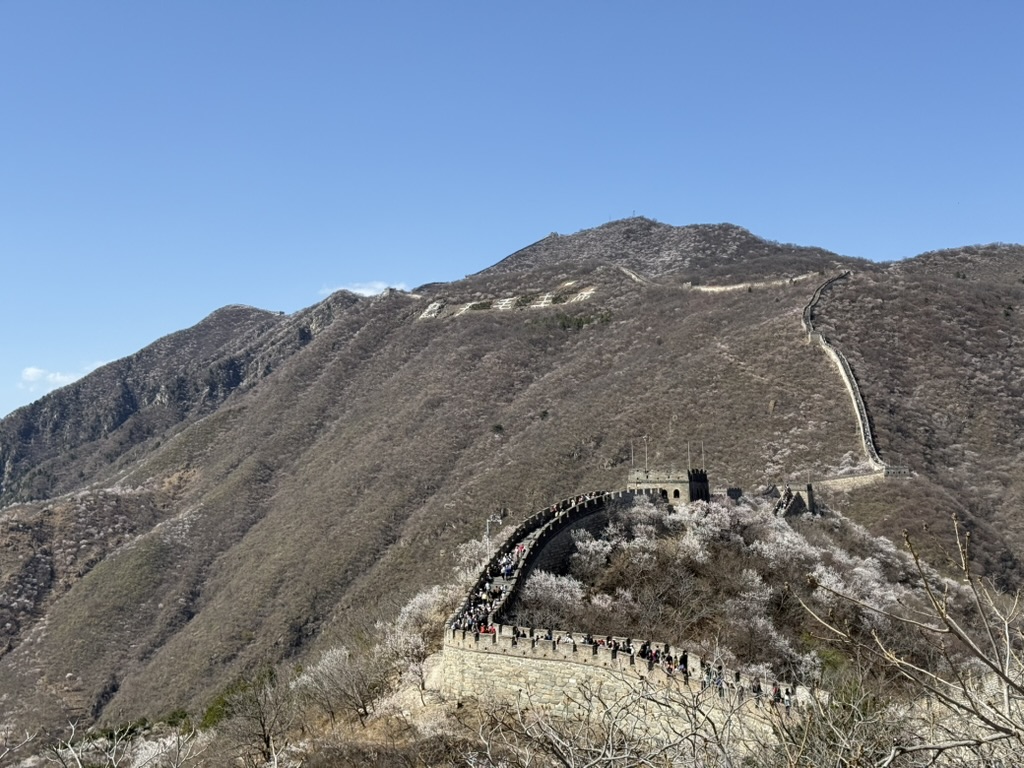 2C4D2753-6D8C-407B-A5B2-0EA189915E0E_1_105_c