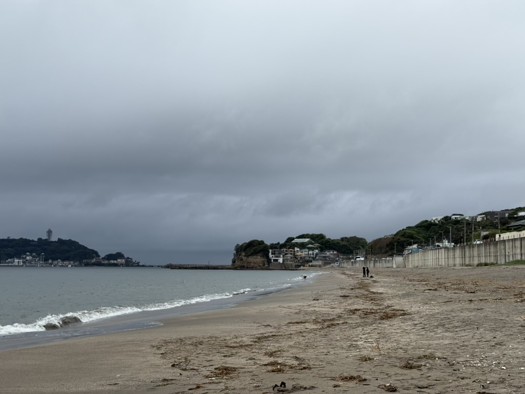 F1363E60-F642-41EC-9099-C1C544AF6CAE_1_105_c