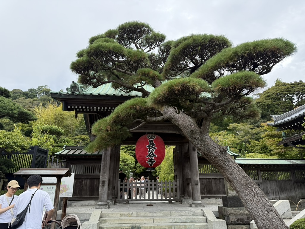 DEA57AE4-C610-45A6-82C9-23E407DCE730_1_105_c