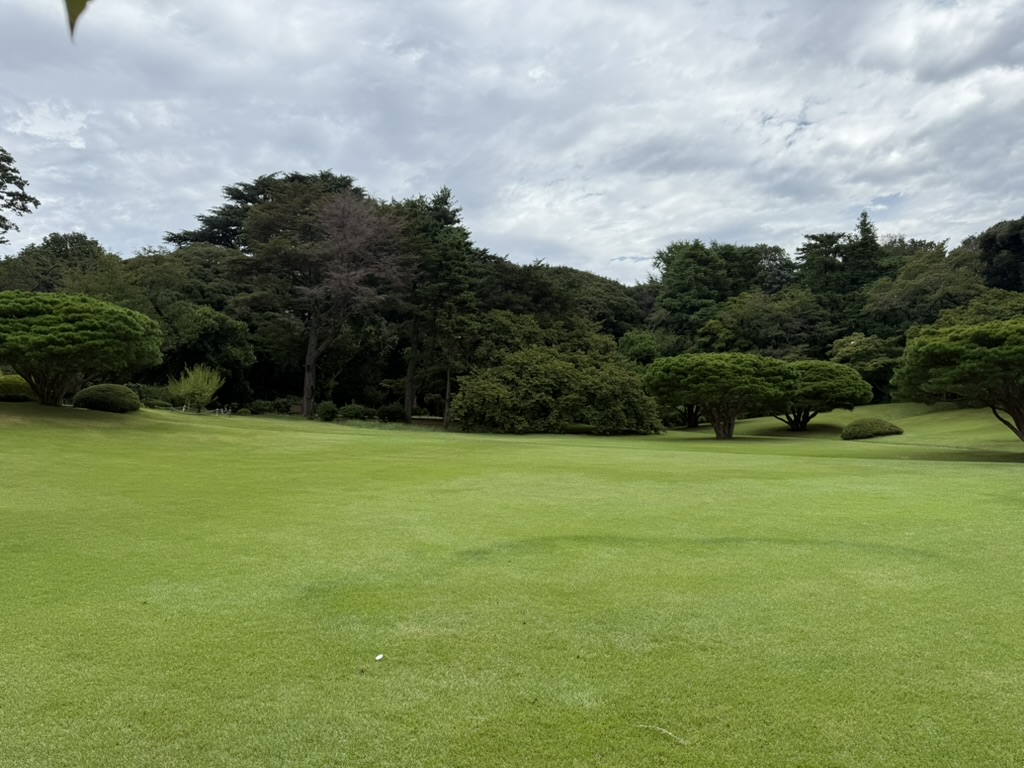 95258374-20AC-4A52-BBDC-B85ED3743715_1_105_c