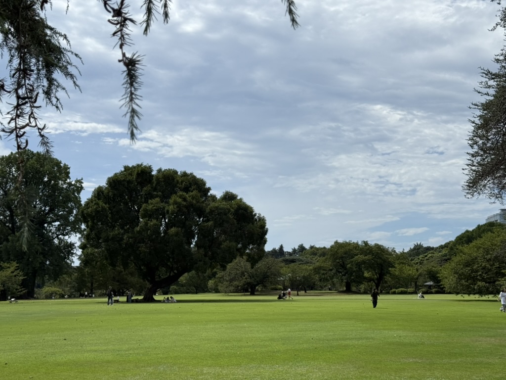 1D0E38D9-DEAF-4285-B321-27F296C33449_1_105_c