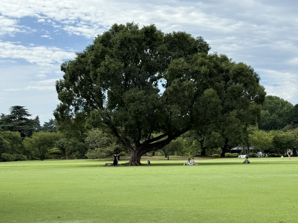 2158AAAE-8A60-4E0C-8527-35B186AB2A2B_1_105_c